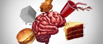 как привычки влияют на мозг человека